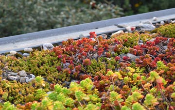 the cost of Treburgett green roof installation