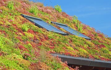 Treburgett living roof systems